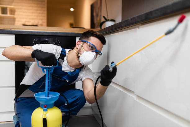 Best Affordable Pest Control Services  in Fort Llins, CO