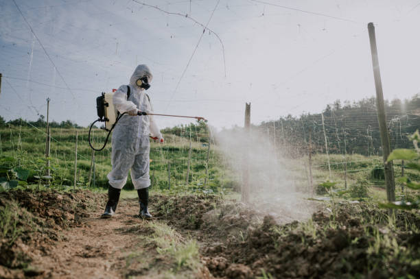 Best Mosquito Control Services  in Fort Llins, CO