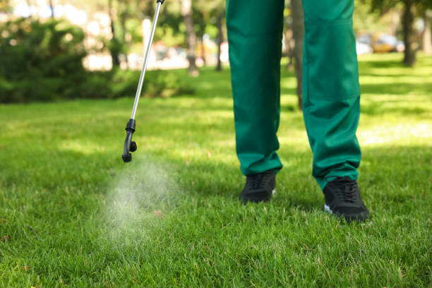 Best Pest Inspection Near Me  in Fort Llins, CO