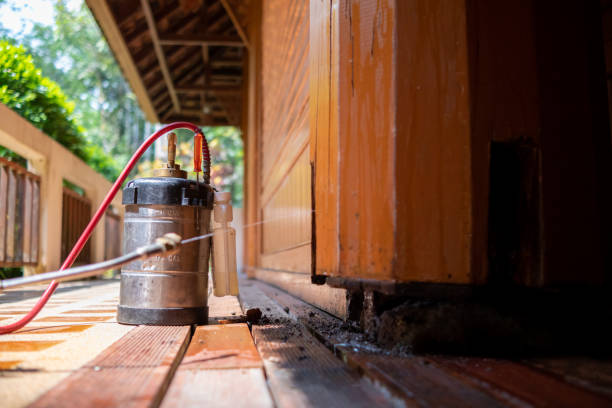 Best Affordable Pest Control Services  in Fort Llins, CO